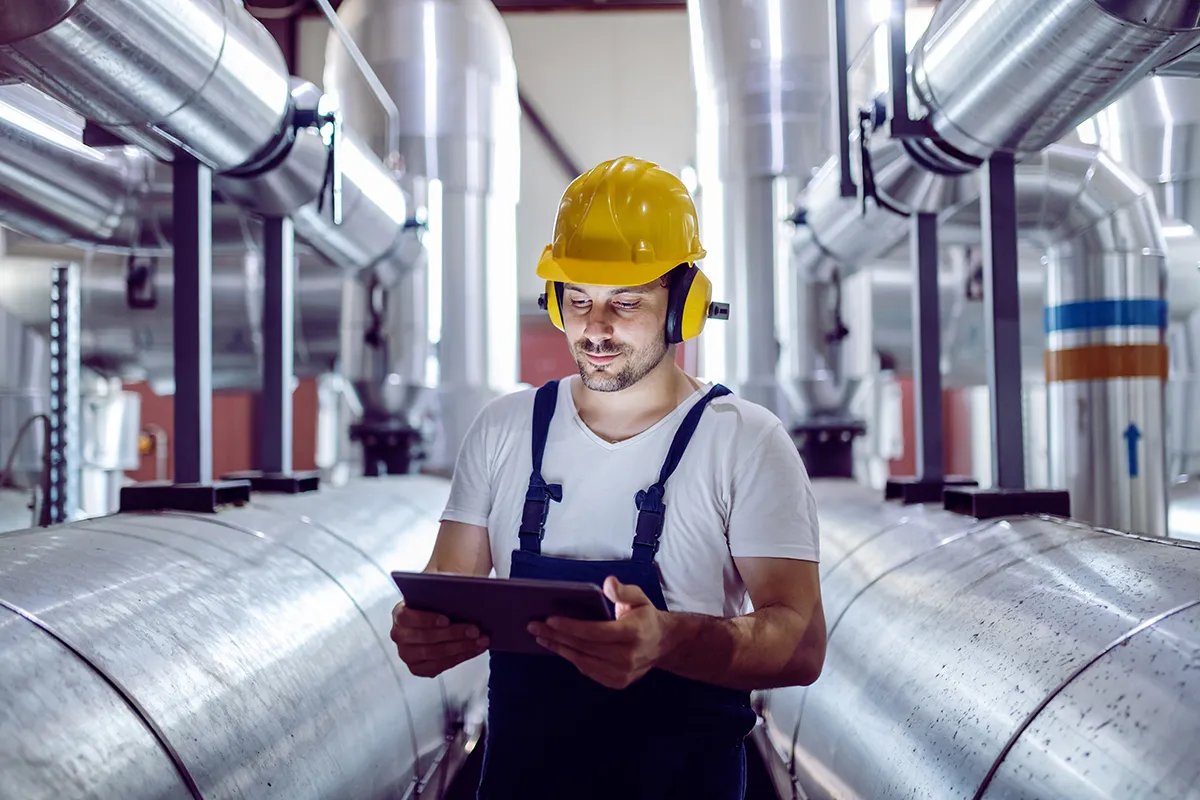 iStock-1178739874-Kopie